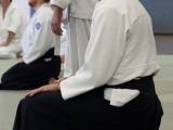 Aikido: Learning things cognitively vs. learning things corporeally