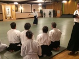 On Experimentation in Aikido: The Wedge and the Wand